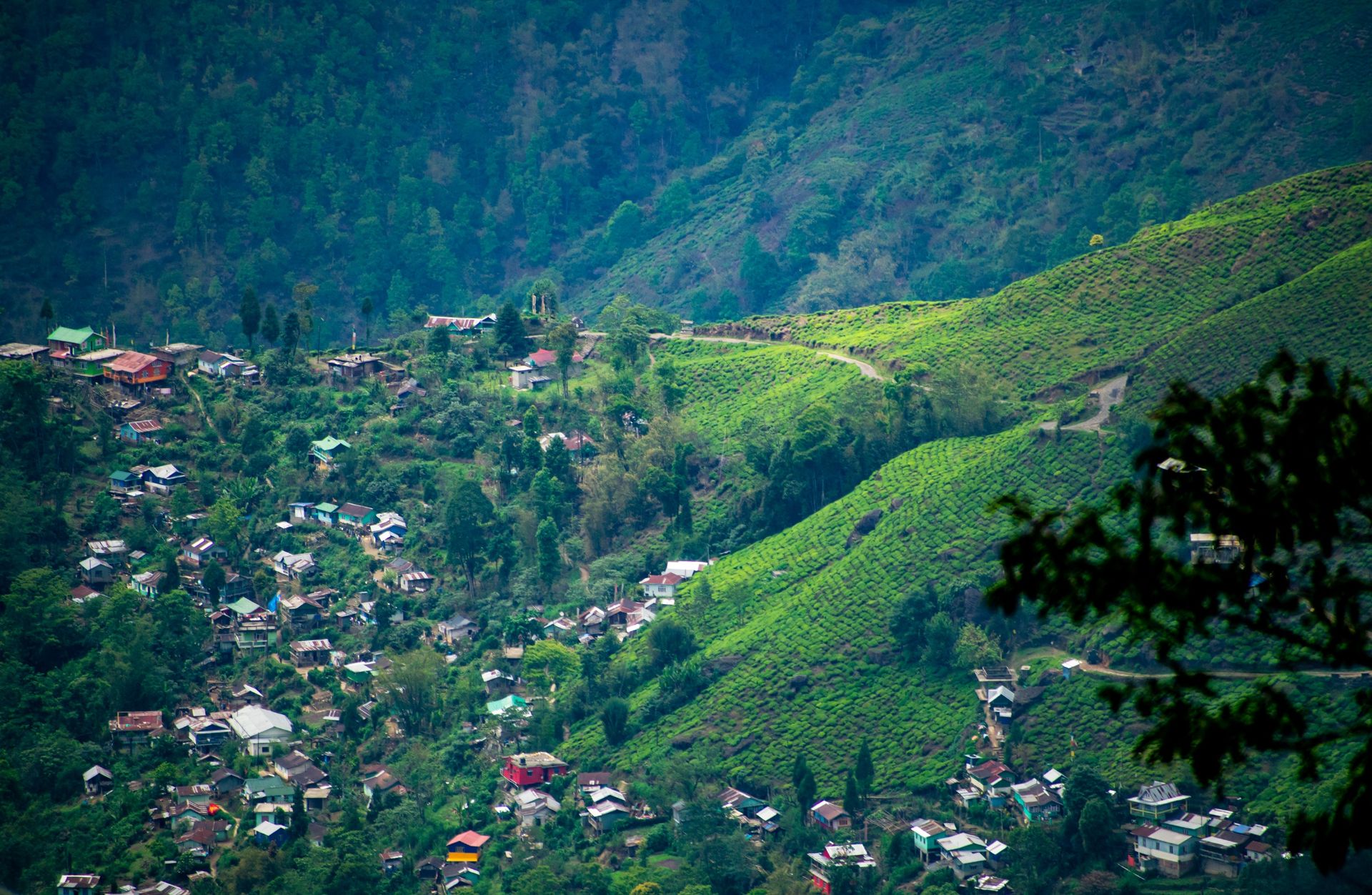 Heavenly Sikkim